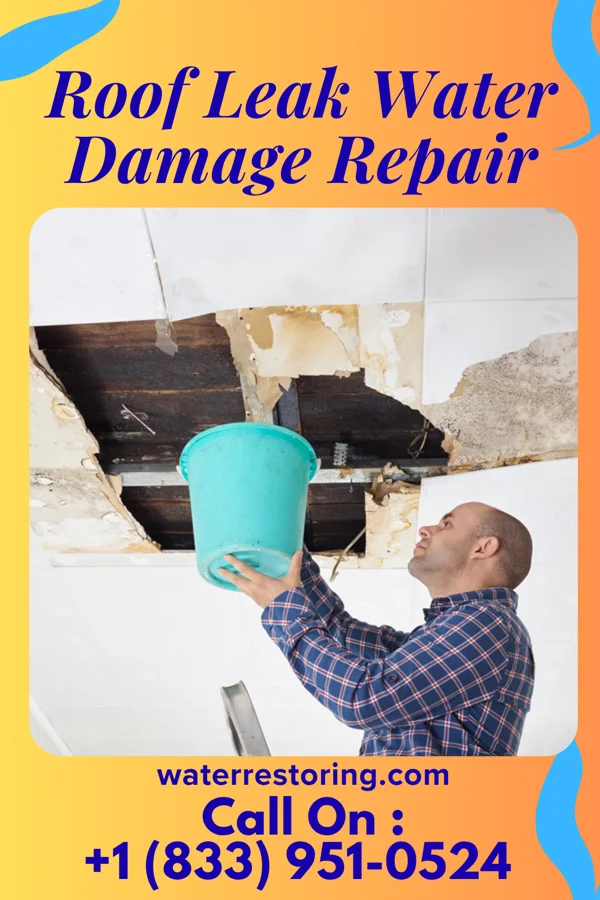 Roof Leak Water Damage Repair in Brooklyn, MI
