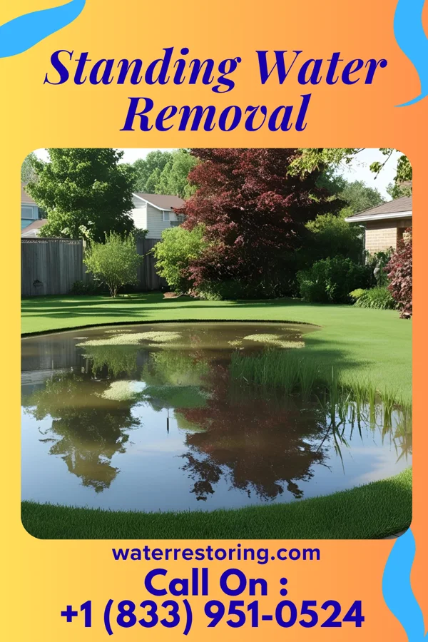 Standing Water Removal in Brooklyn, MI
